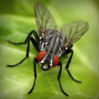 /album/actividades1-deeso-es/photolia-a01-jpg/