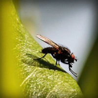 /album/actividades1-deeso-es/photolia-a04-jpg/