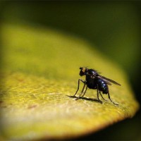 /album/actividades1-deeso-es/photolia-a07-jpg/